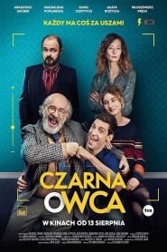 Czarna owca pobierz