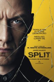 Split pobierz